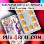 Männlicher Sexueller Stimulans Des Großen Penis new12